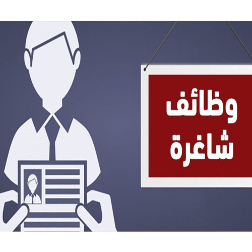 وظائف محاسبين حديثى التخرج